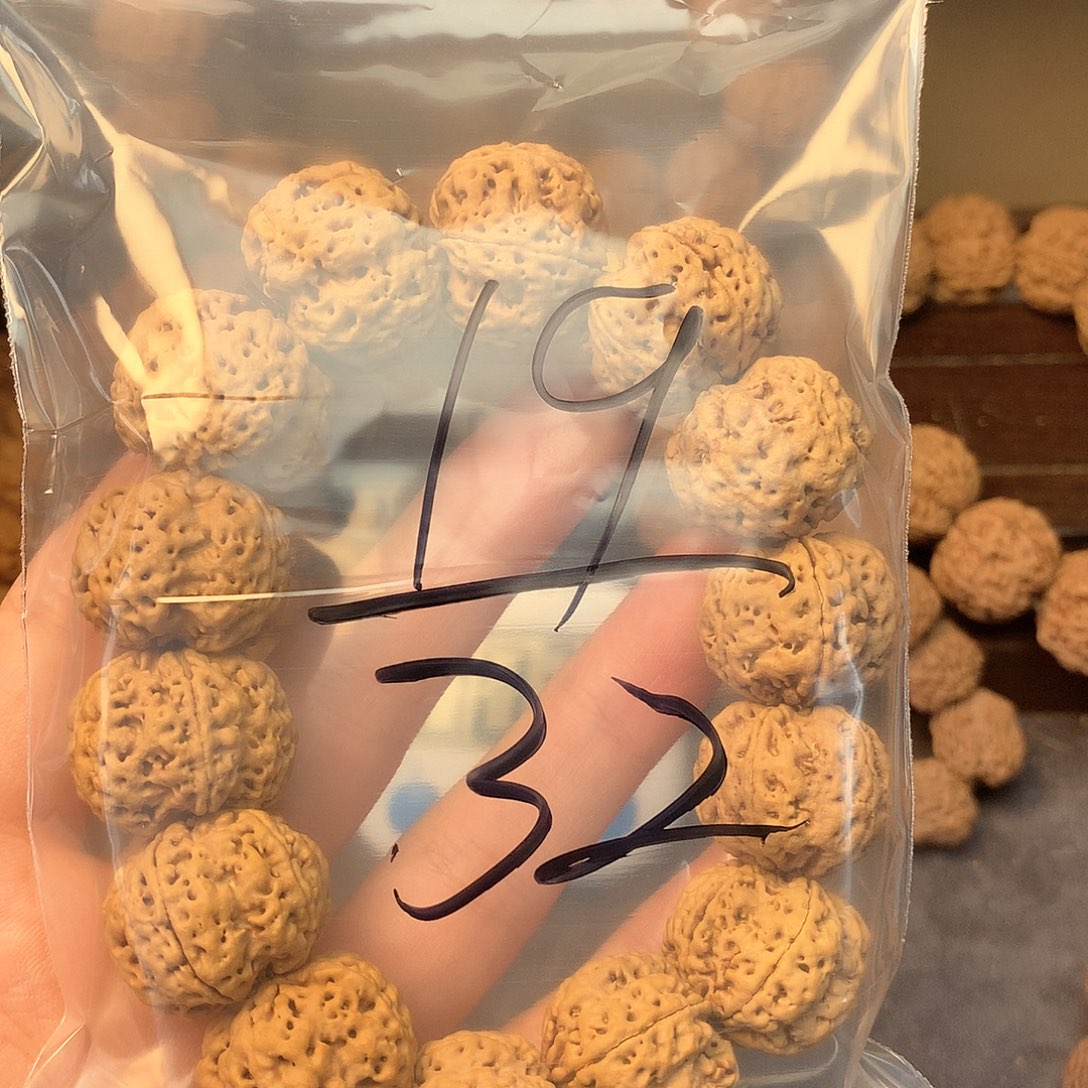 金刚菩提吊坠阿*19///////