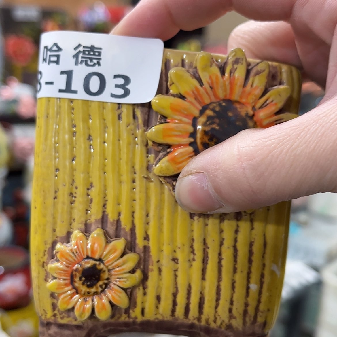 【闪购商品】红陶8103