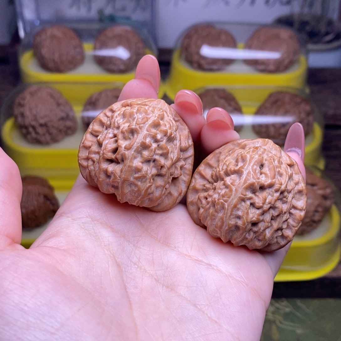 文玩核桃把件全品37尺三角白狮子头精品毕业