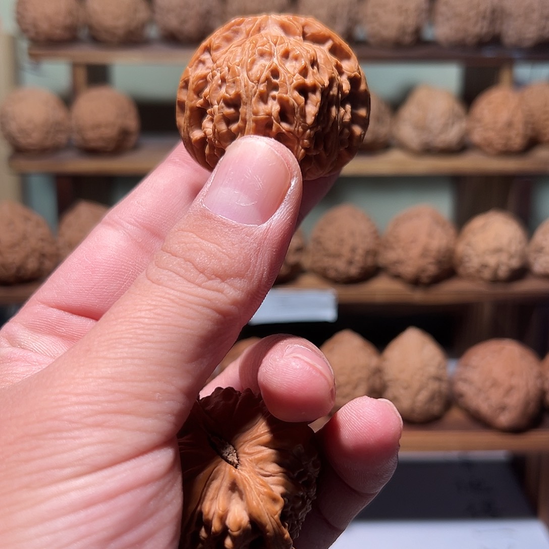 发****头文玩核桃，白狮子