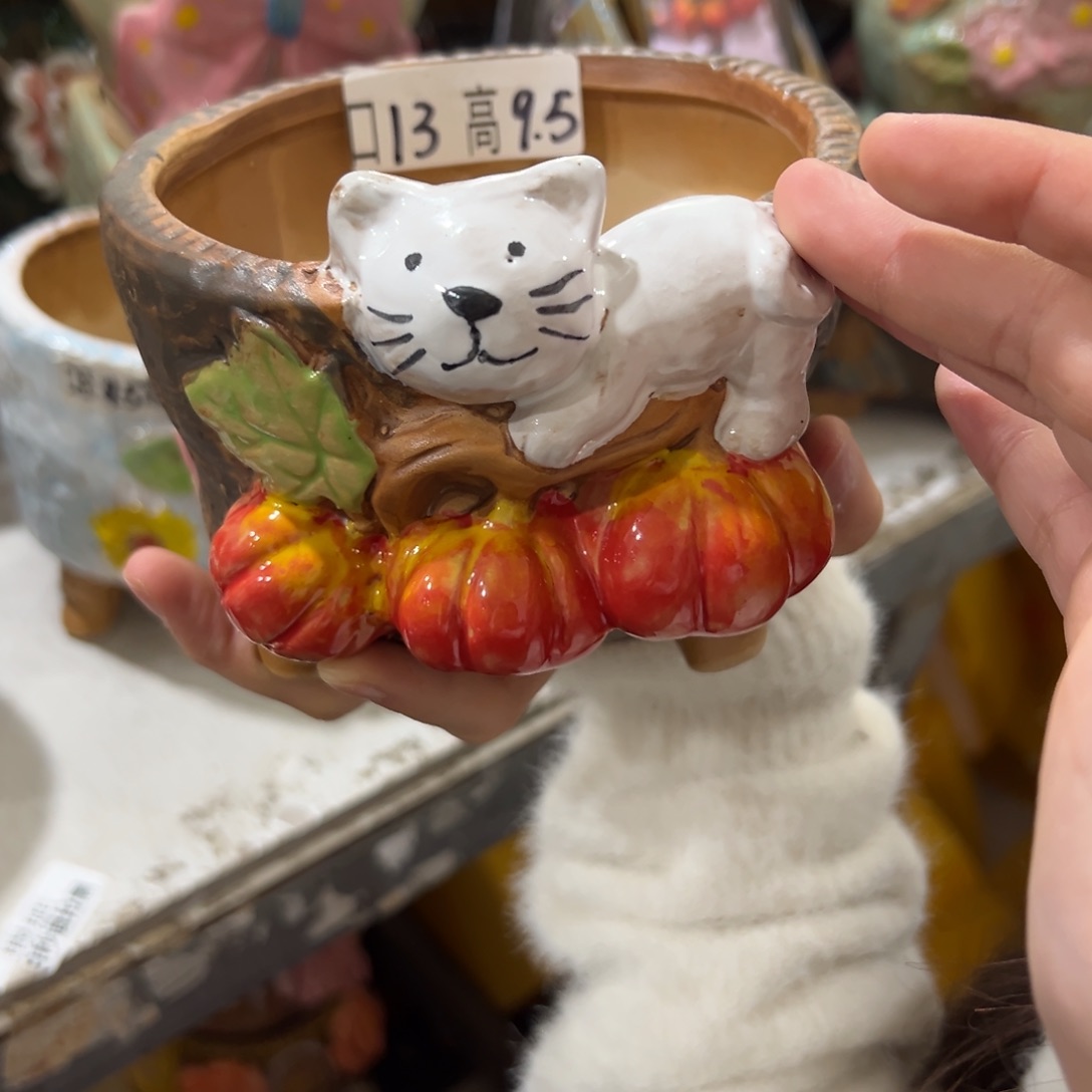 满20米秒退拉黑花盆