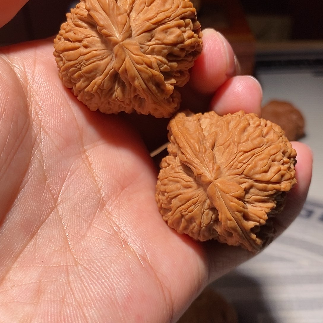 一***毛文玩核桃把件001南将石43尺