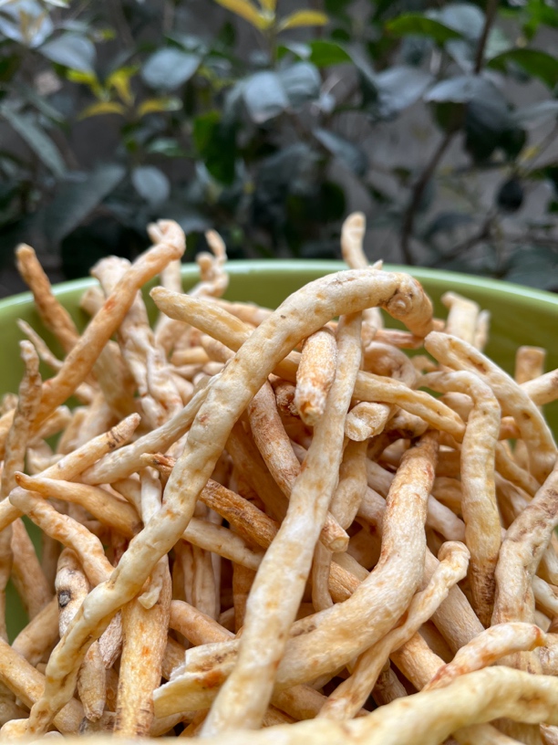 四川光雾山特产沙参川明参干货无硫农家自然晒干精选250g