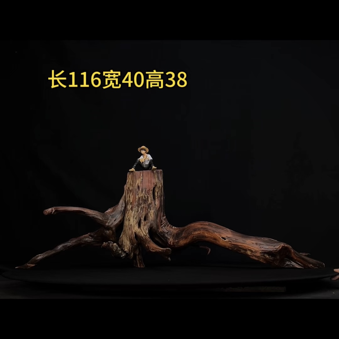 张大狼造景沉木长116cm一体矮树桩多枝 南美鱼缸造景 紫柚木秒沉