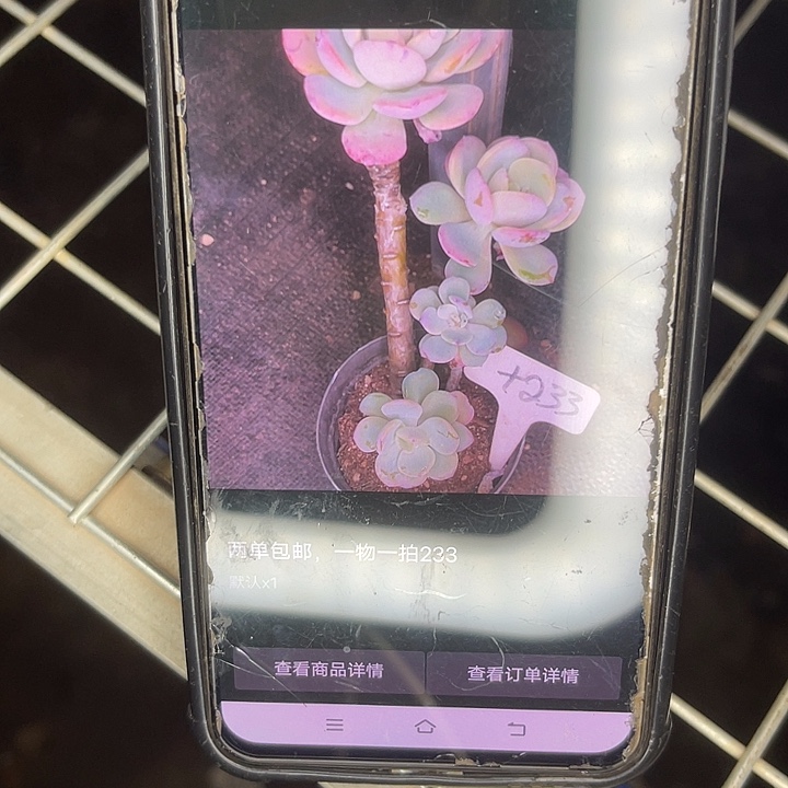 墨***岩两单包邮，一物一拍233