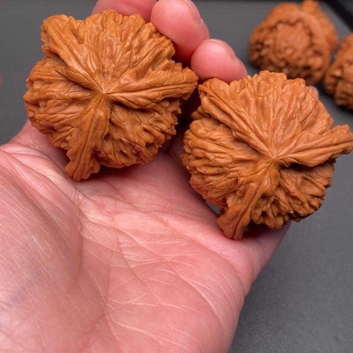 春***草木质类核桃核桃核桃