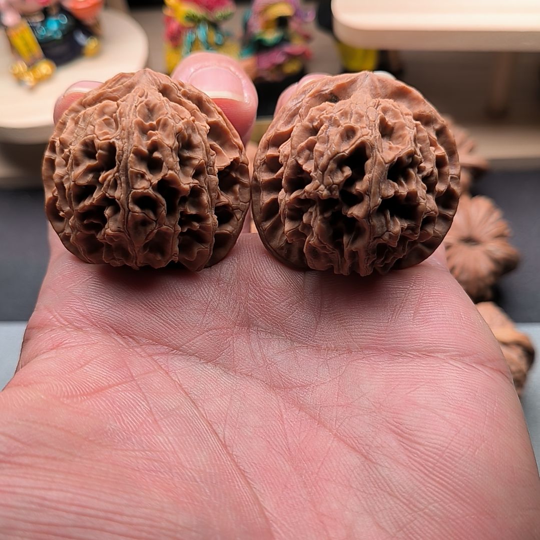 核桃原装苹果园40尺