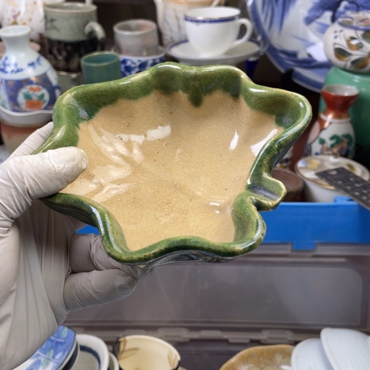 瓷片开播了开播了开播了