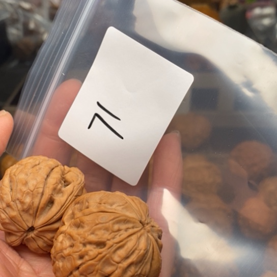 桃核吊坠原**迪71甲骨纹狮子