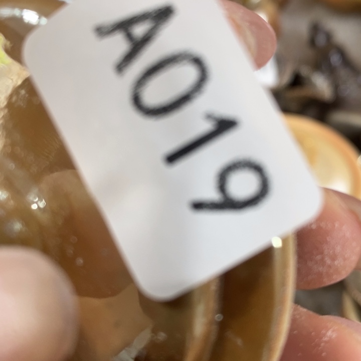 我***育福利多多柴烧裸烧