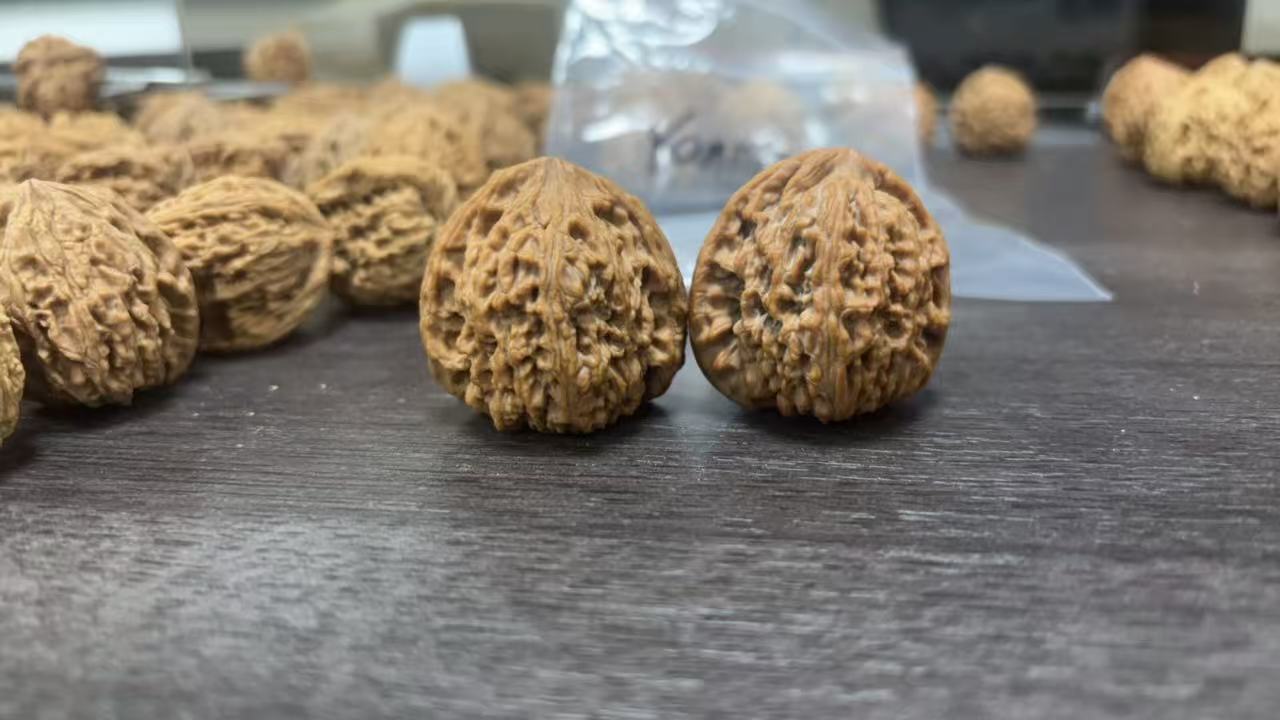 涿鹿老树南疆石  直播间一物一价一拍  私拍空拍