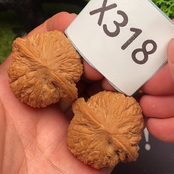 文玩核桃把件泥鳅43350318