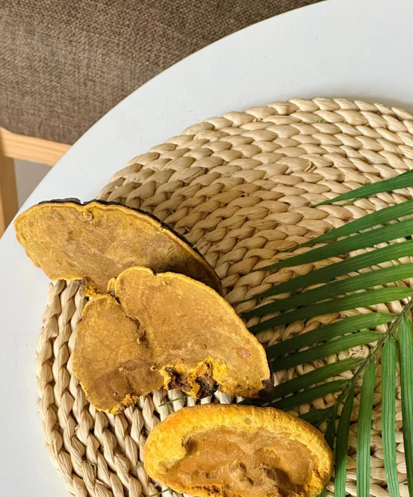 【九妹优选】西藏察隅野生桑黄   桑树桑黄