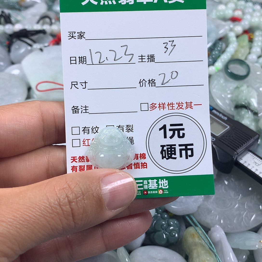 翡翠未镶嵌吊坠(不含链)