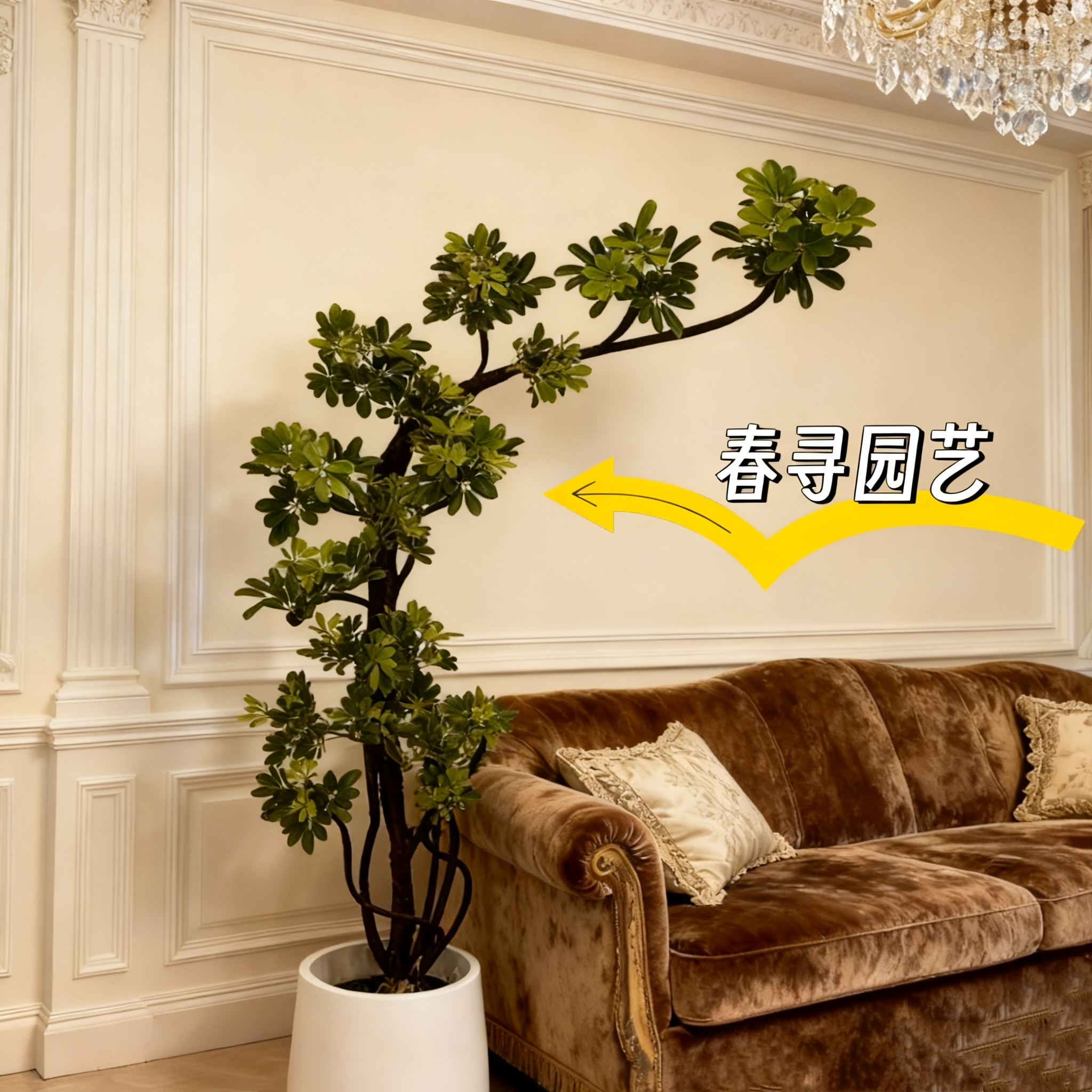 造型鸭脚木客厅大盆栽老桩鸭掌木办公室落地大型绿植四季常青