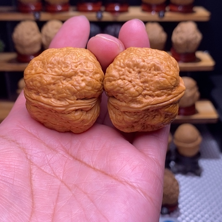 木质类云铁平头蟾31号