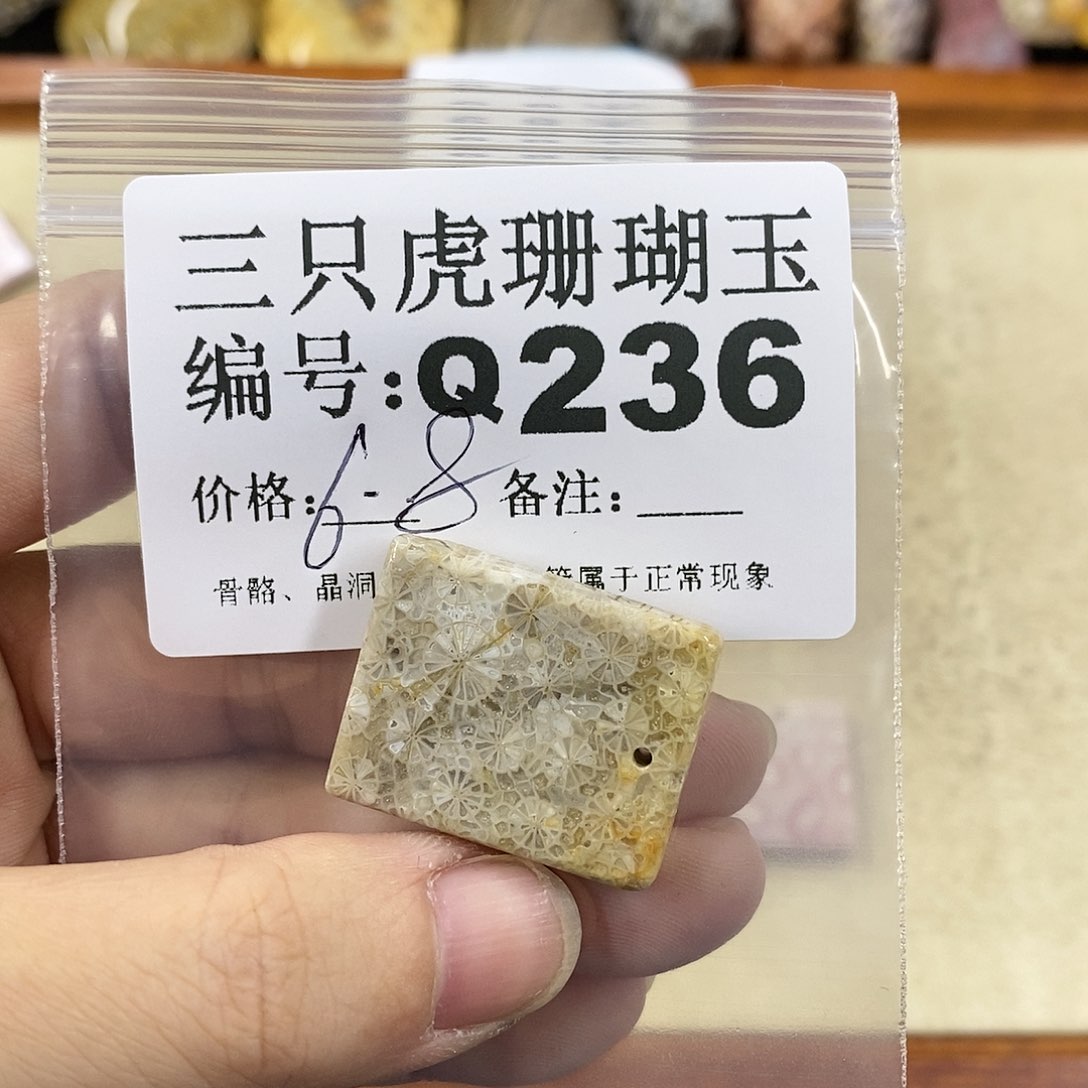 硅化珊瑚（珊瑚玉）1未镶嵌钱**意