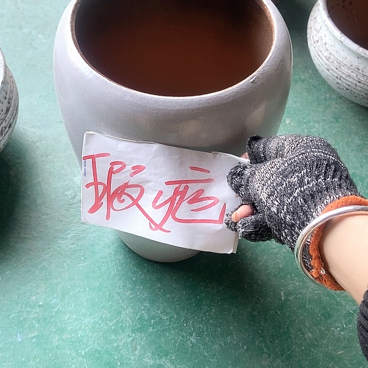 红陶口18。高32。。。。