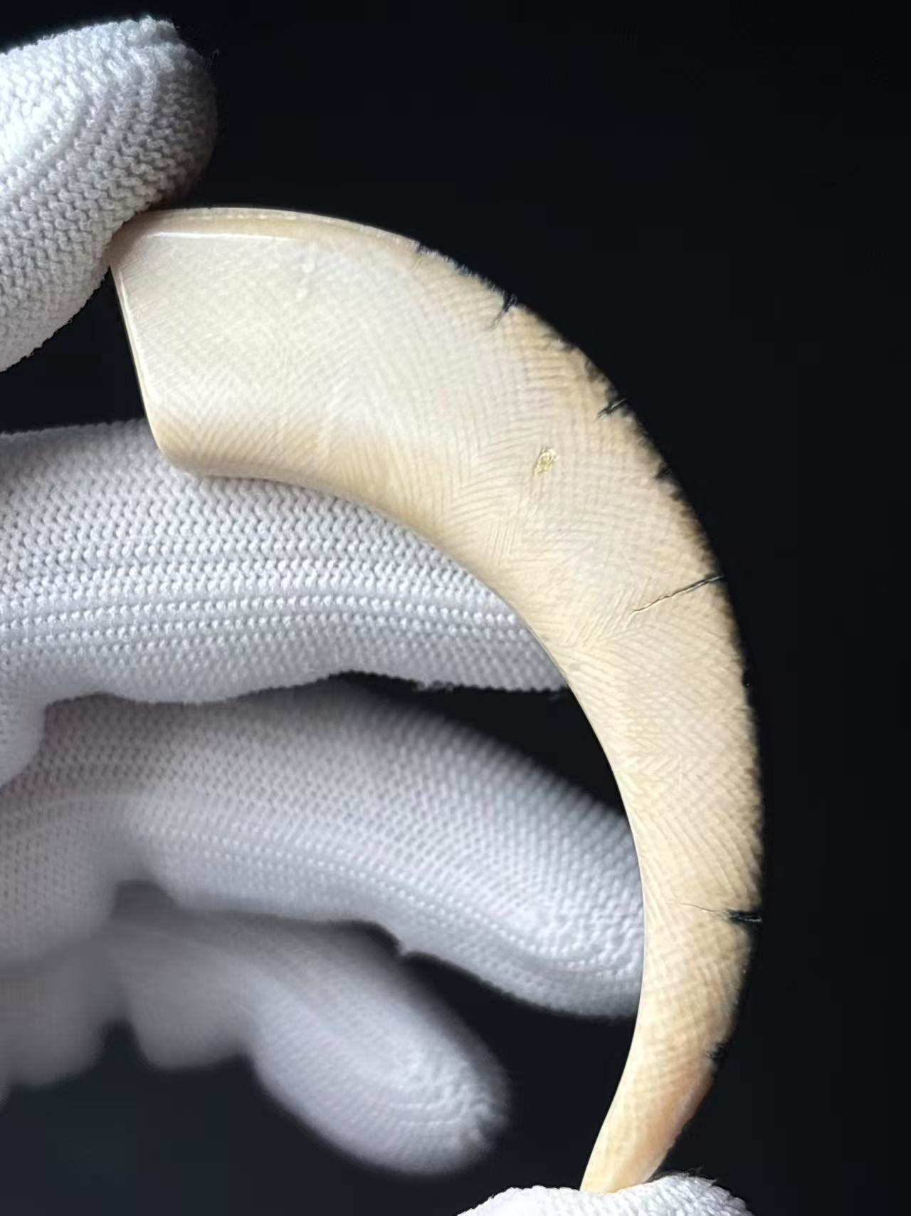 丰骨「猛犸象牙·牙尖」Y78 70*16mm 材质保真 假一罚四