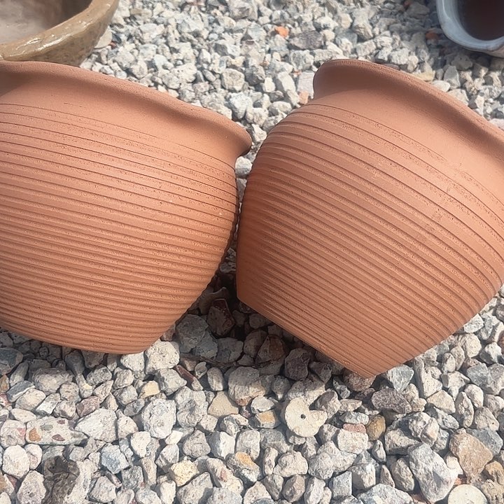 紫砂花盆红陶两个口径20高度18