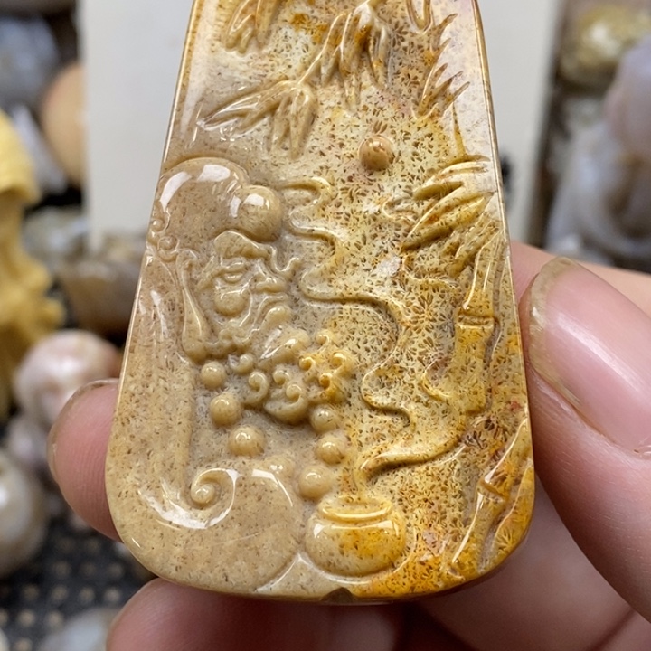 硅化珊瑚（珊瑚玉）未镶嵌颈饰