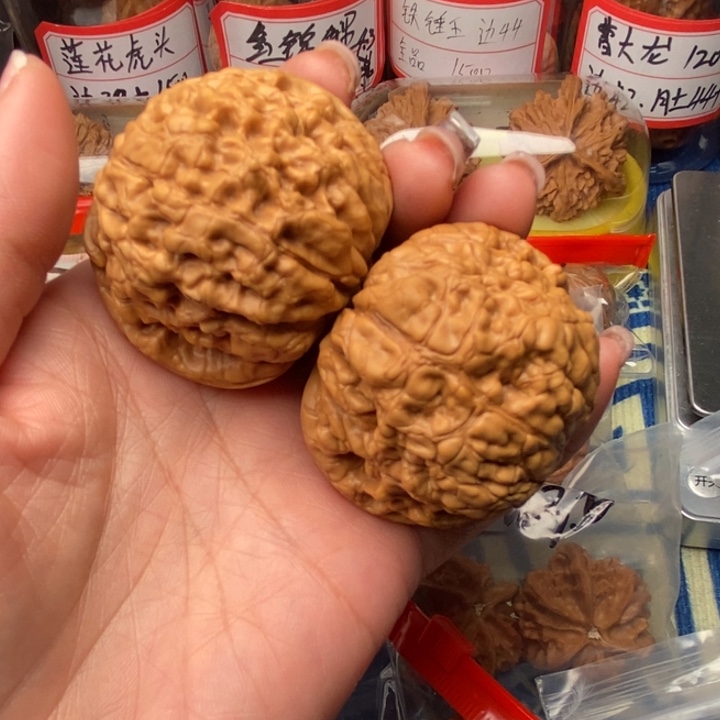 吊坠桃核龙鼎51全品
