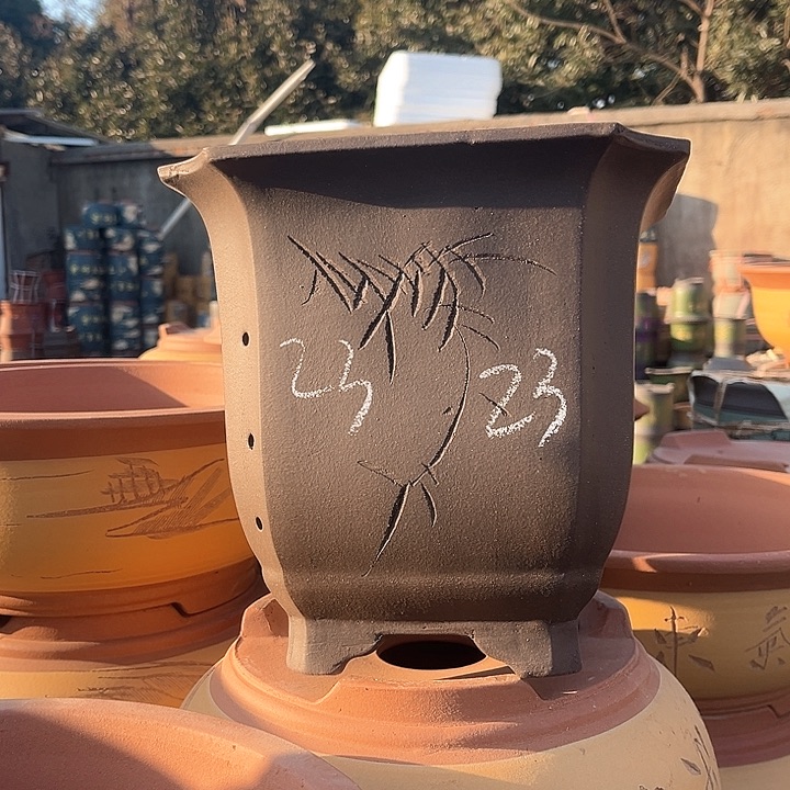 紫砂紫砂花盆和花盆里用