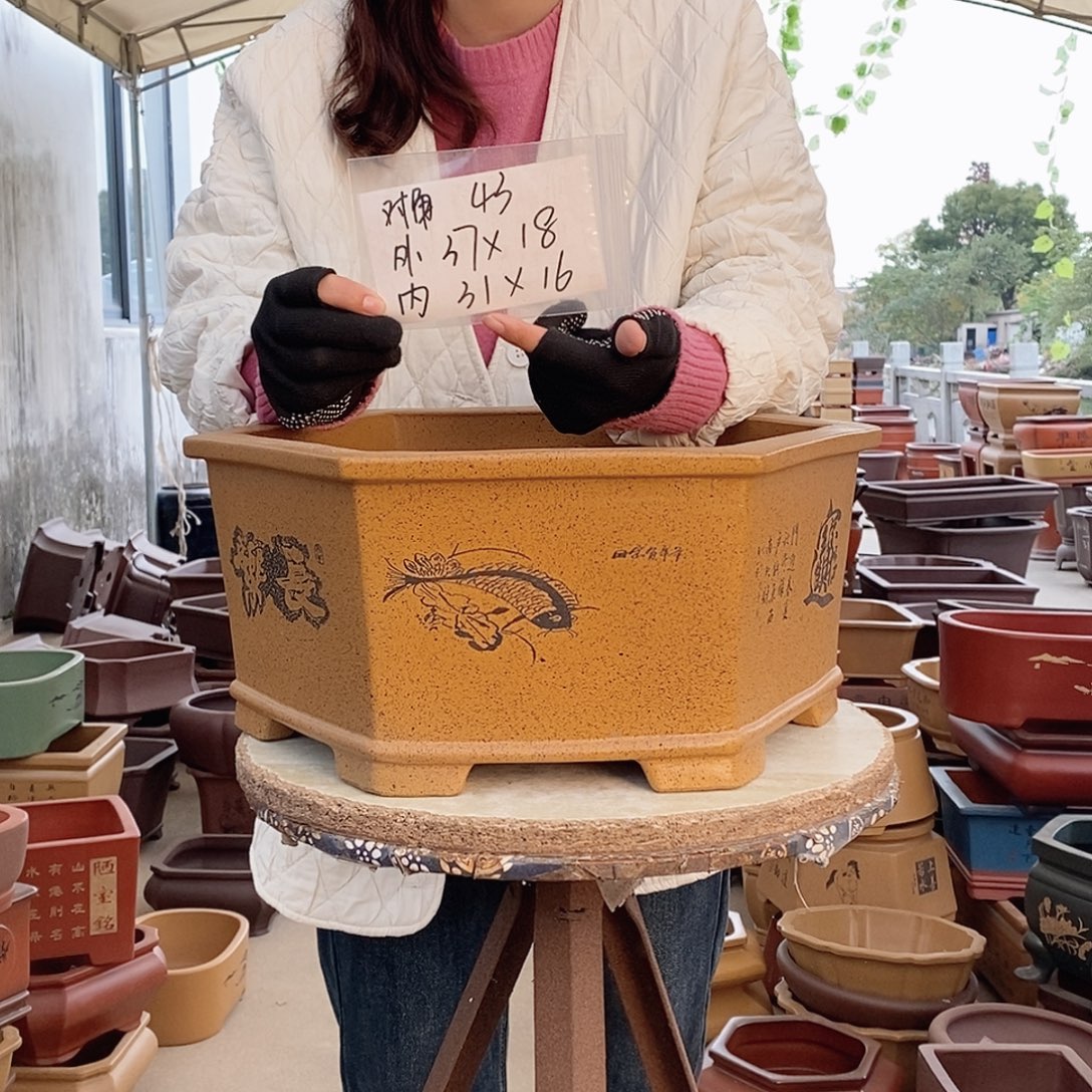 紫砂花盆紫砂花盆