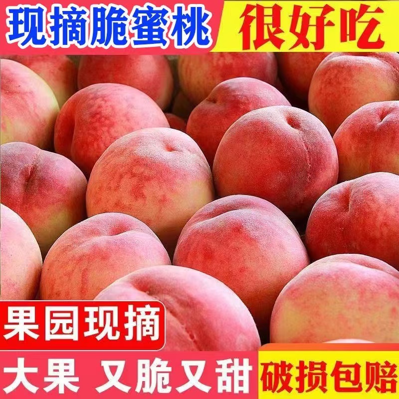 [脆蜜桃】冰糖脆脆蜜桃新鲜脆甜多汁当季应季水果5斤包邮