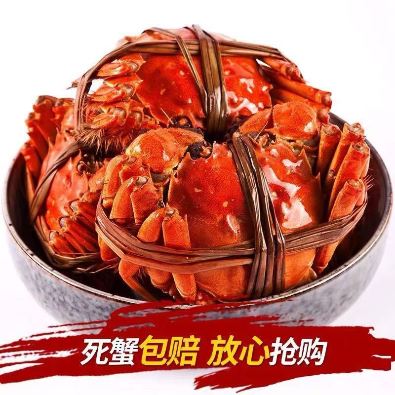 【可预约】苏州精品金标大闸蟹 4.0-3.8两公蟹+3.0-2.8两母8/10只装