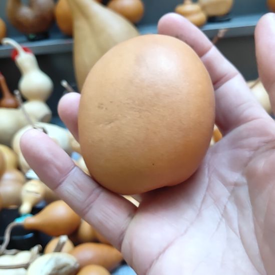 用***芦哈喽哈喽你好你好啊美女你好啊美女你好