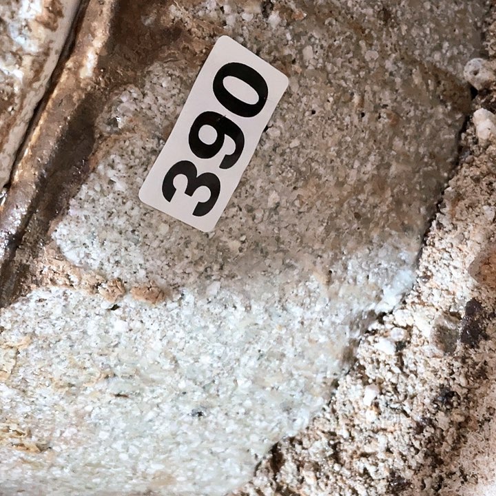 茶盏参加工作的是全国390