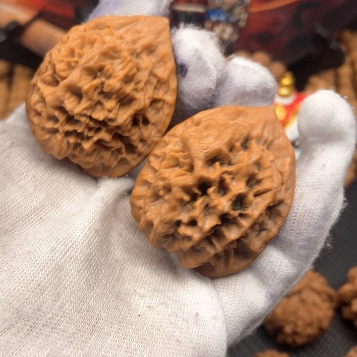 富**！秦岭大花核桃呀呀