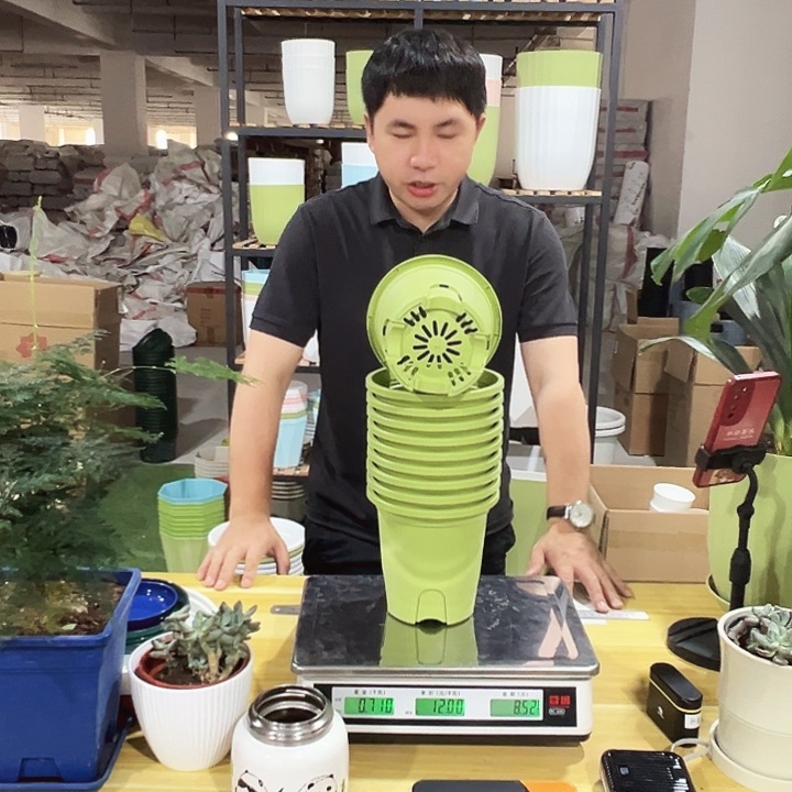 圆形控根口15高15果绿色10个无托