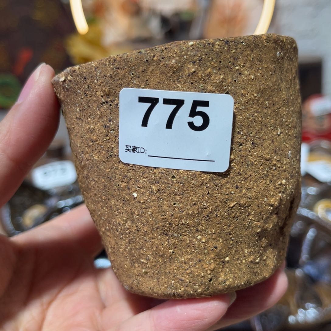 木村信弘柴烧保平