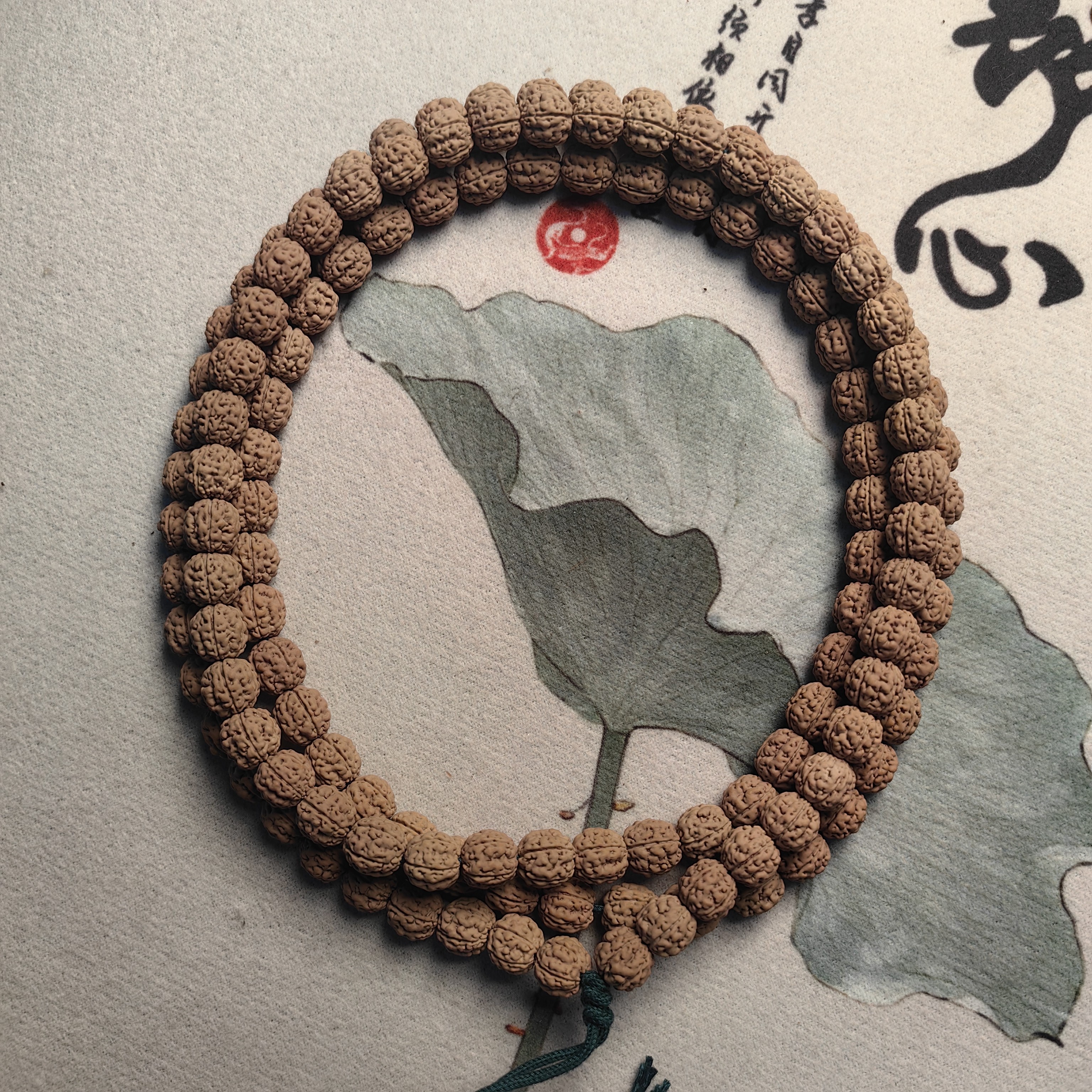 《原装盘龙》精品原装盘龙金刚菩提8-9