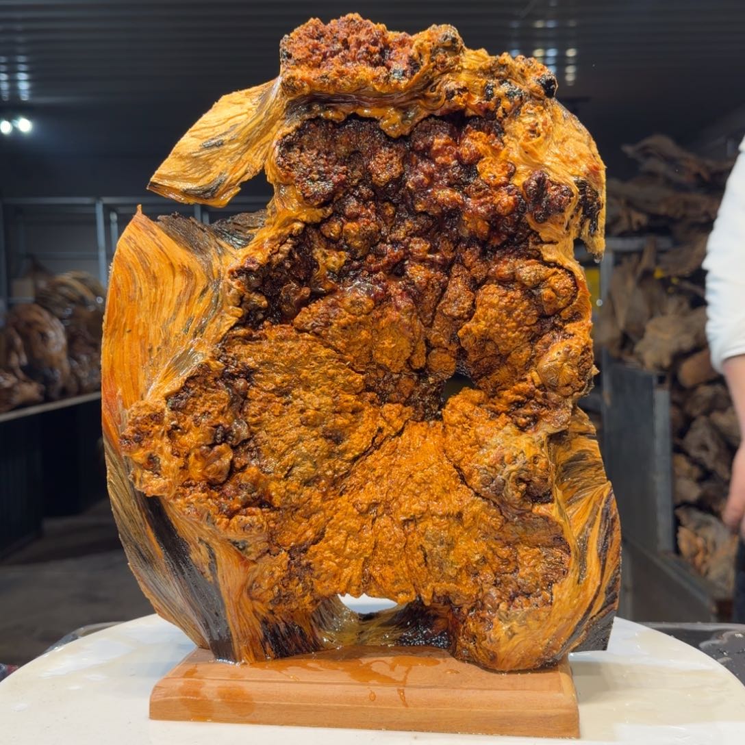 清***流木王一刀琥珀木摆件190