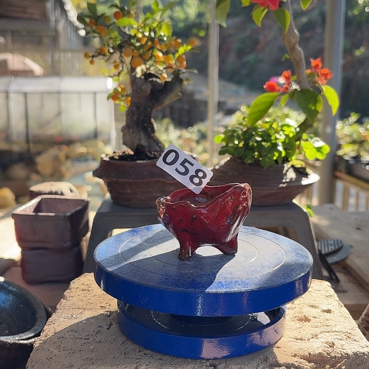 6x3.5////////////058/////