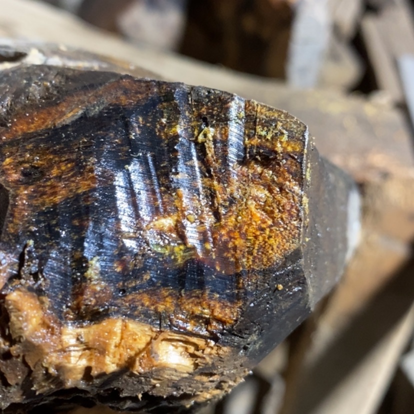 【闪购商品】手串贡木进****了私人订制