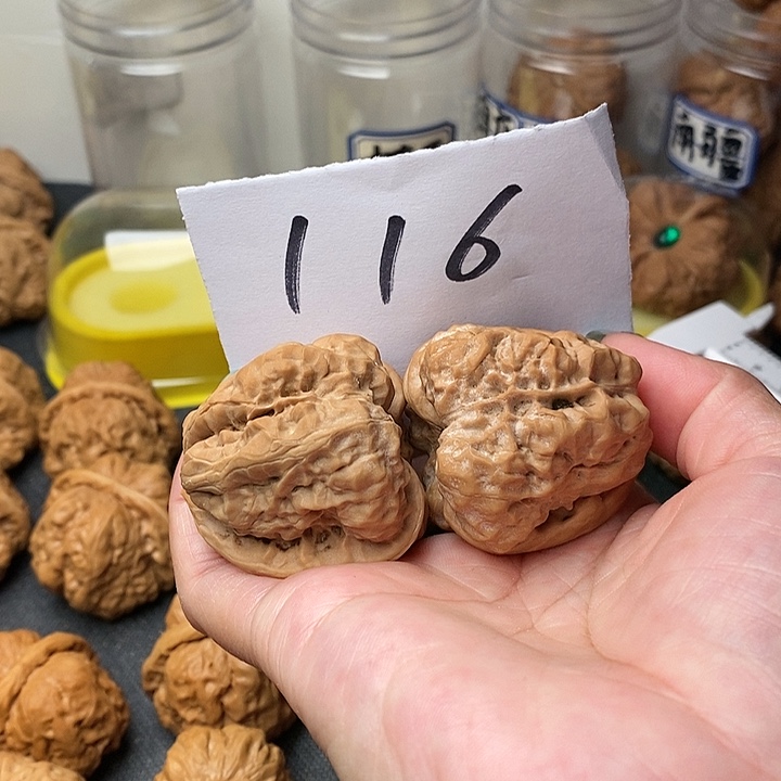 王***乐核桃蛤蟆洞等景名胜区