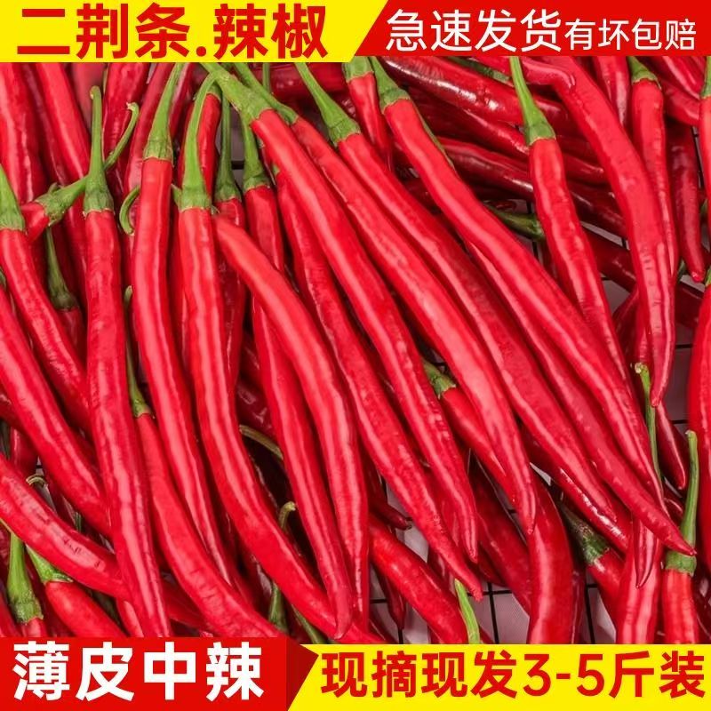 新鲜红线椒红二荆条红辣椒安徽红海椒红青椒新鲜蔬菜做剁椒辣椒酱
