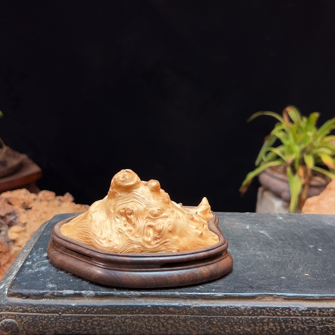 ****⁸荔枝木熏香成品香炉