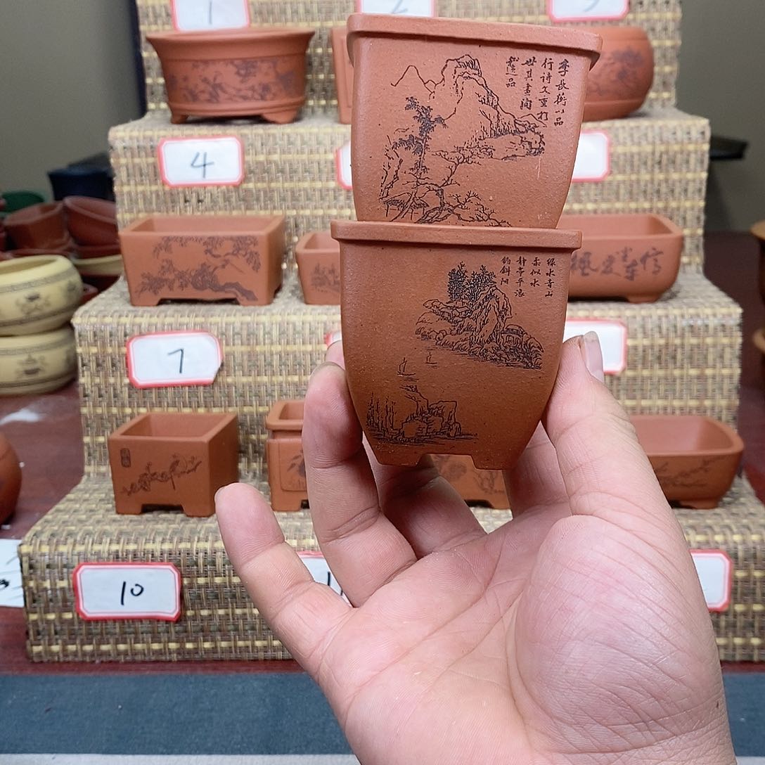 紫砂花盆剑**煌我在等他