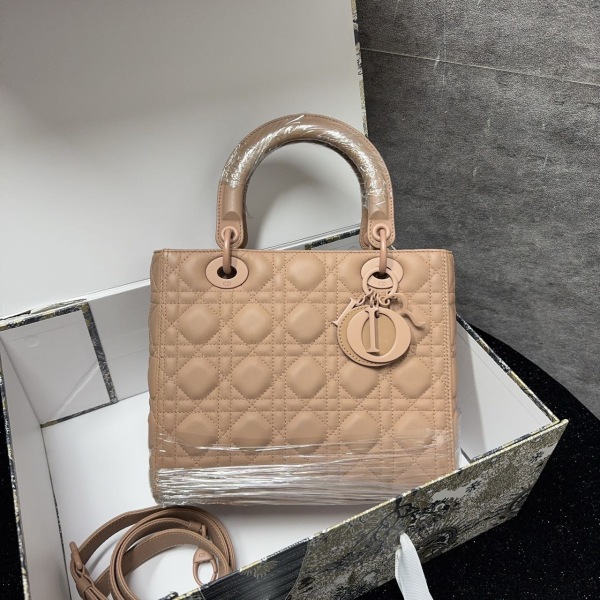 95新/包包/迪奥/250127SW0018