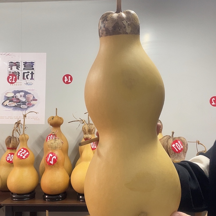 香榧木外齐异性八宝葫芦