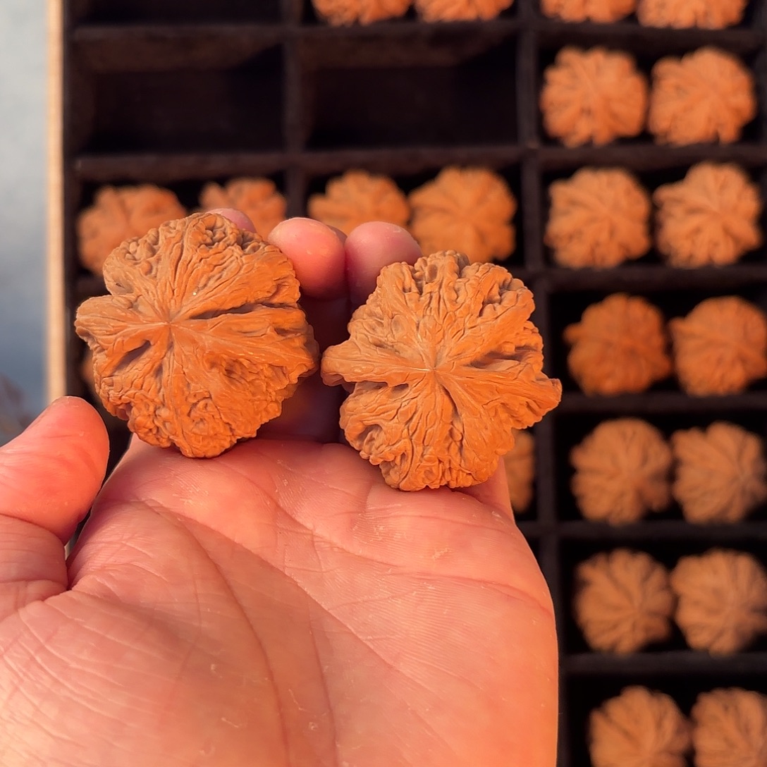 孤***狼核桃手串/手链55555