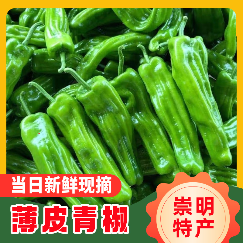 [顺丰到家]崇明新鲜薄皮青椒生态蔬菜3斤