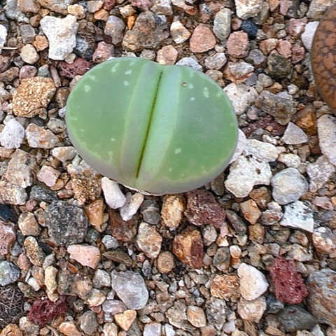 【闪购商品】20141