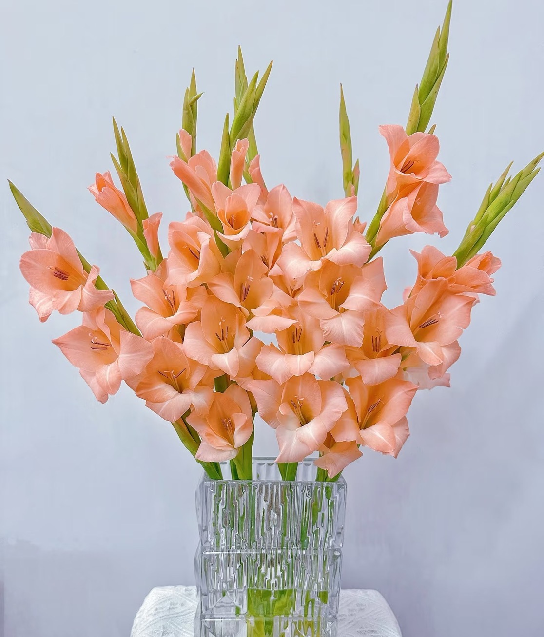 【源头一手价】橙色三文鱼剑兰5支/10支 云南基地鲜花   基地直发