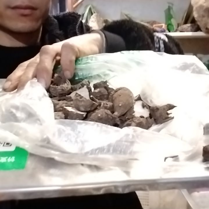 猫***哈青榄贵州山采附孙子半斤